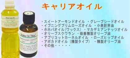 【キャリアオイル】・スイートアーモンドオイル ・グレープシードオイル ・イブニングプリムローズオイル ・小麦胚芽油 ・ホホバオイル(ワックス) ・マカデミアンナッツオイル ・オリーブスクワラン ・吸着精製オリーブ油 ・アプリコットカーネルオイル ・ローズヒップオイル ・アボカドオイル(精製タイプ) ・精製オリーブ油